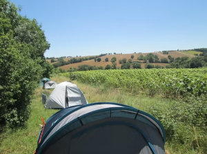Camp d&rsquo;été 2026